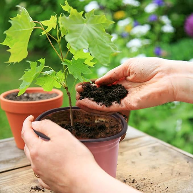 HOSTIC 5.1 Inch Nursery Pot Seedling Pot Plant Container Seed Starting Pots Multipurpose Plastic Pots 100 Packs