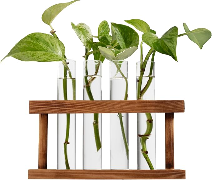 D'Eco Glass Plant Propagation Station (Set of 4 Tubes w Wooden Display) - Grow Hydroponics & Watch Them Grow Roots - Tabletop Vases for Spring Home & Office Decor for Plant Lovers