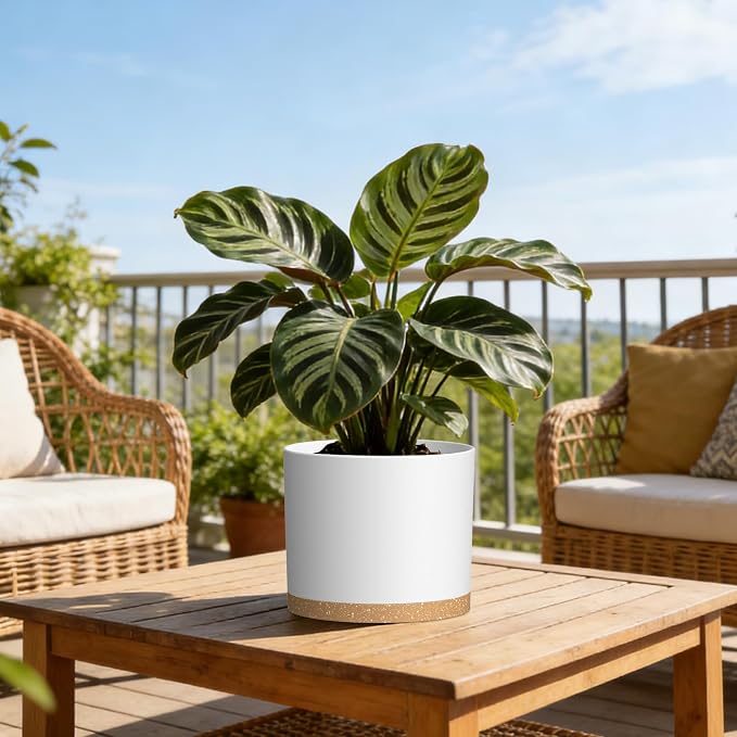 Plant Pots, 10/9/8 Inch 3 Pack Cylindrical Flower Pots with Drainage Holes and Saucers, Plastic Planters for Outdoor Indoor Plants,White Brown
