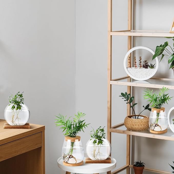 Layhit 4 Pcs Plants Propagation Stations vases Glass Planters with Wooden Lid and Bamboo Stand for Hydroponic Plants Gardening Gifts for Women Mom Home Office Tabletop Decoration(Cute Style)