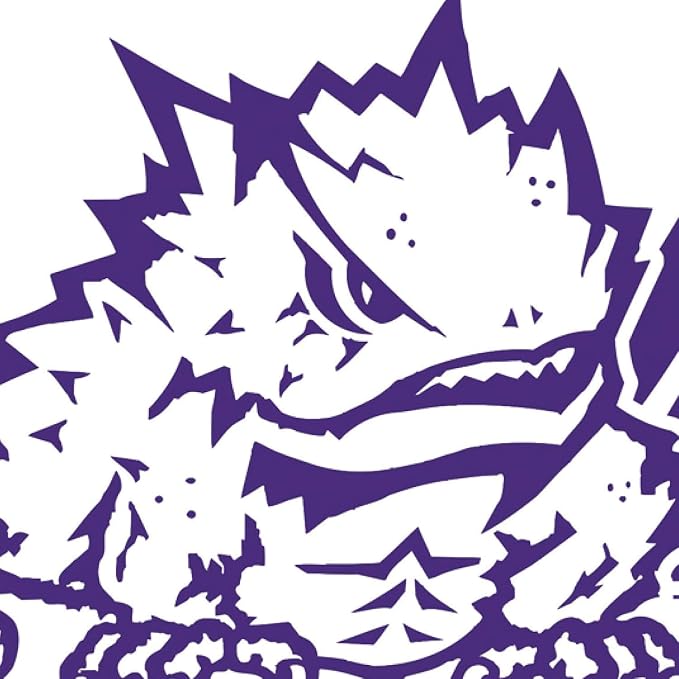 NCAA Texas Christian University House Flag, 28 x 44, Double Sided Garden Flags for Outside, Outdoor College Flags & Banners for Gardens Patio, Indoor Wall Decor Flag for Room