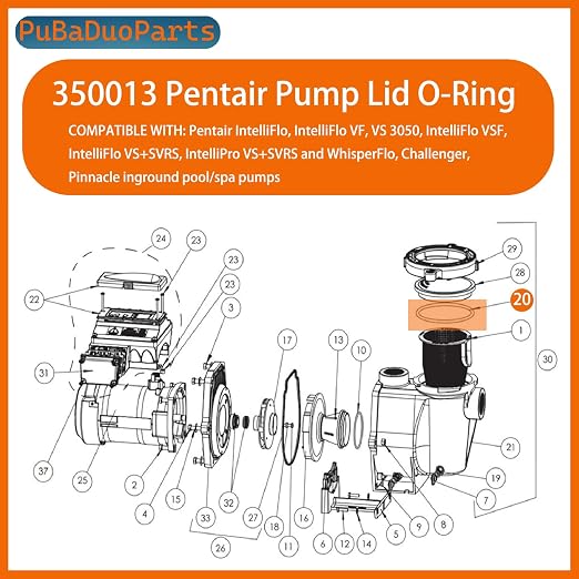350013 O-318 Lid O-Ring Compatible with Pentair 350013 for IntelliFlo, WhisperFlo, Challenger, Pinnacle Pool/Spa Pumps (5-Pack)