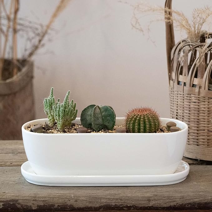E-liu Ceramic Plant Pots, 11+14 inch, Set of 2, Planters with Drainage Holes Saucers and Mesh Pads, Indoor Flower Succulent Pot with Hole Mesh Pad, Gifts for Mom, Plants Not Included