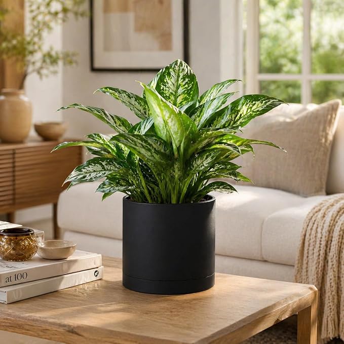 Giraffe Creation 12 Inch Cylinder Plant Pot, Modern Round Planter with Drainage Holes and Saucer, Lightweight Plastic Flower Pot for Indoor Outdoor Plants, Black