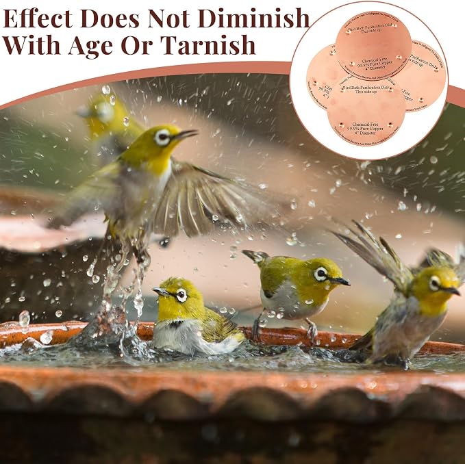 MorningRo 1 Pcs 4'' Bird Bath Copper Disk, 0.6mm Thick Reinforced 99.99% Pure Copper Disc birdbath Purification Disc, with 4 Point Support for Outdoor Birdbaths Bowls Cleaner (Classic)