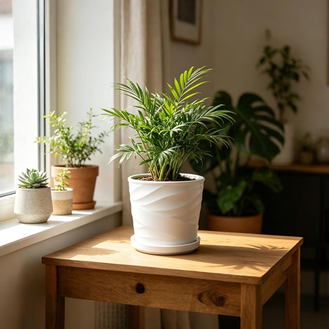 8 Inch Plant Pot,Ceramic Planter with Drainage and Saucer,Ceramic Pots for Plants,Indoor Plant pots,Ceramic Flower pots(Pure White)