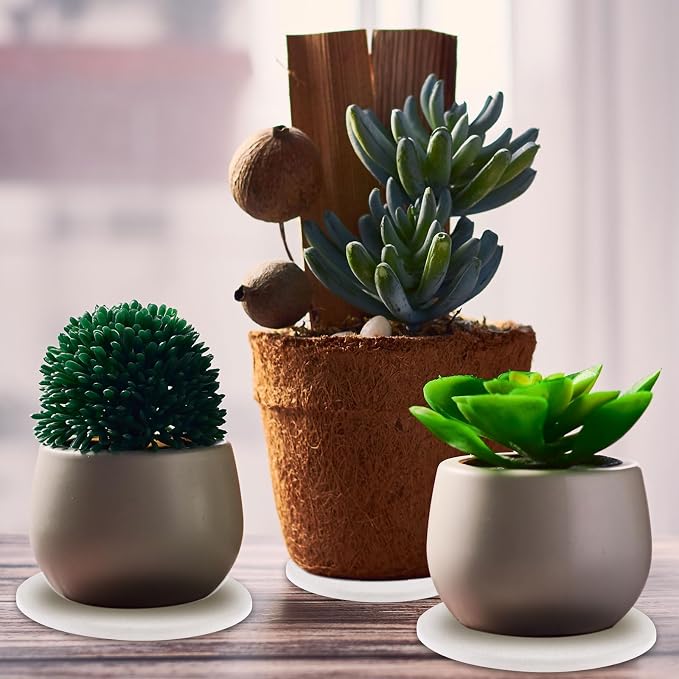 12Pack Diatomaceous Earth Coaster 4/6/8inch Diatomite Plant Saucer Stone Plant Sourcer Instant Dry Water Absorbent Diatomite Tray Water Absorbent Plant Coasters Absorbent Pad Diatomaceous Earth Mat