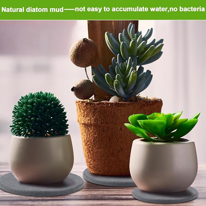 Diatomaceous Earth Coaster 4/6/8inch Diatomite Plant Saucer Stone Plant Sourcer Instant Dry Water Absorbent Diatomite Tray (Dark Gray)