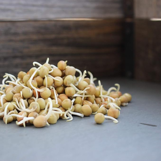 Dun Pea Seeds ā 18 g LB Bulk ā Non-GMO, High-Germination for Microgreens, Pea Shoots, Cover Crop, & Gardening ā Sweet & Crisp Sprouts, Protein-Rich Fodder, Fast-Growing Green Manure, Soil Enrichment