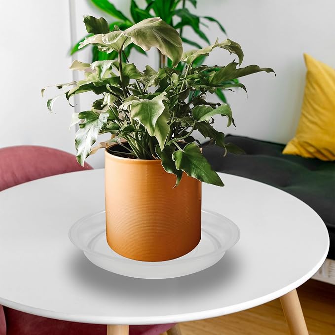 12 Pack 8 Inch Round Plant Saucers for Less 6.8 Inch Pot Indoors Outdoors Plant Trays for Pots Planter Saucer Plastic Plant Drip Tray Planter Water Tray for Potted Plants (Clear, 8"(12pcs))