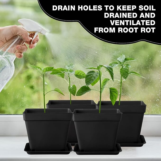 Amyhill 100 Pcs 4 Inch Flower Pots Square Plants Nursery Pot Plastic Plant Seedling Pots Small Nursery Transplanting Planter Container with Saucer for Indoor Succulent Balcony Garden (Black)