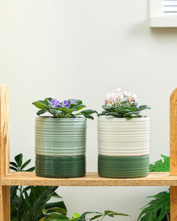 Fayoula Self Watering Pots for Indoor Plants, 6 Inch Ceramic Self Watering Plant Pot, Planter Pot with Wick Rope and Drainage Hole for African Violet Succulent Herbs (White Matte)