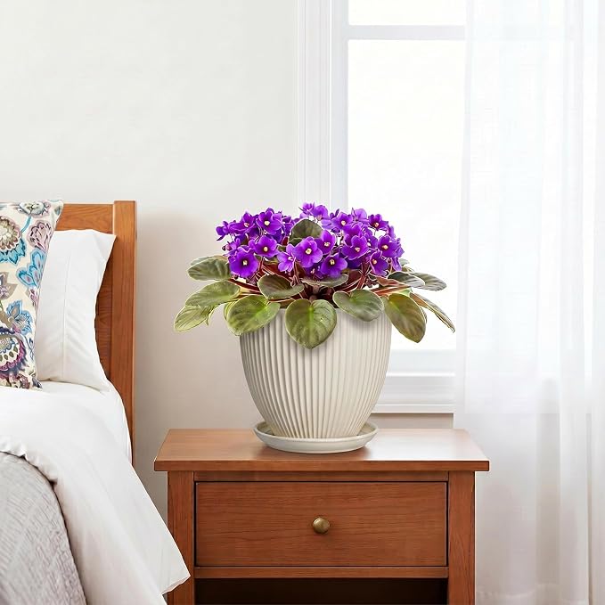 6 Inch Planter, Ceramic Pots for Plants Indoor, Decorative Plant Pots with Drainage Hole and Saucer, Round Flower Pot, Modern Small Planter, Office Decor, Gifts for Plant Lovers, Cream White