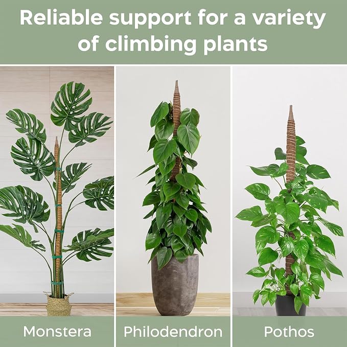 2 Pack 48'' Bendable Moss Pole Monstera Plant Support for Climbing Indoor Plants - Stakes for Potted Climbers - Tall Sticks Indoor Trellis for Houseplants - Accessories for Monstera Pot