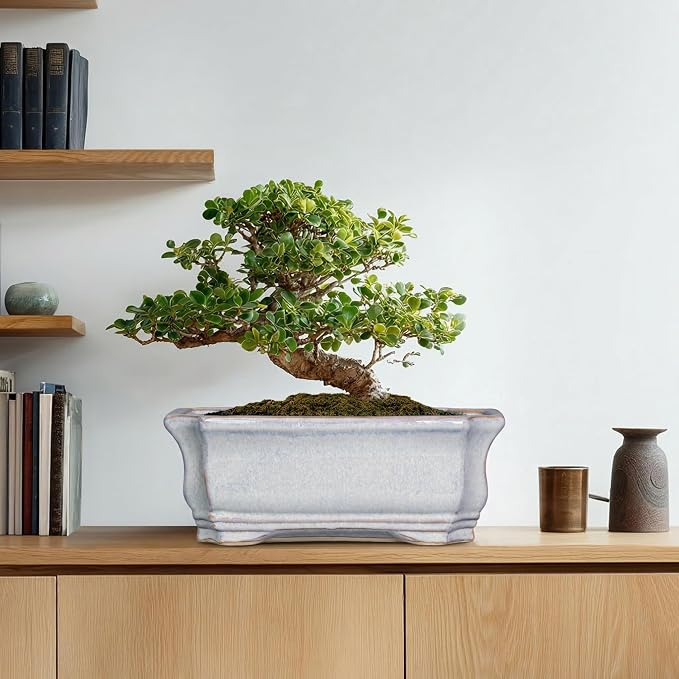 Bonsai Pots Ceramic - 13.7 Inch Succulent Planters with Drainage Hole, Bonsai Planters for Indoor Succulent Plants, Decorative Plant Pots, Front Porch Decor, Gardening Gifts, Rectangular Grey