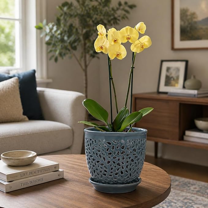 Elegant Orchid Pot with Holes, Large 6.5 inch Premium Porcelain Ceramic Orchid Pot for Repotting, Durable Ceramic Planter with Removable Saucer for Easy Drain, Planter Gifts for Moms