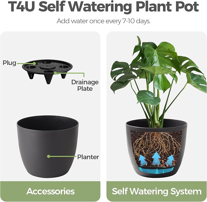 T4U 6 Inch Self Watering Planters Plastic Plant Pot, Modern Decorative Flower Pot/Window Box for All House Plants, Flowers, Herbs, African Violets, Succulents - Black, Set of 6