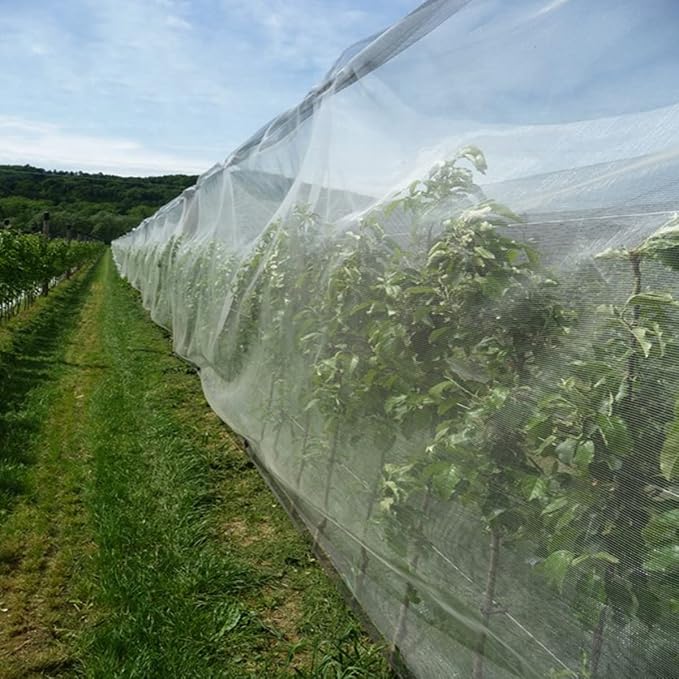 Garden Netting, Pest Barrier Plant Covers 10x50Ft Net Ultra Fine Mesh Protection Netting for Vegetable Fruits Flowers Crops Greenhouse Row Cover Raised Bed Insect Barrier Screen Protection Net Cover