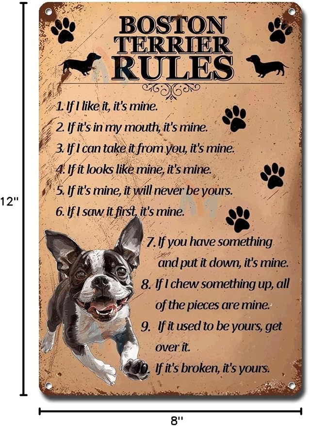 Metal Sign Tin Sign Vintage Wall Art Boston Terrier Rules Home Decor for Restaurant 8×12 Inches
