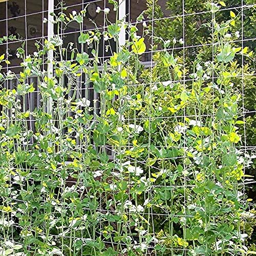 Toolazy Trellis Netting 5 x 350 ft - Heavy Duty Nylon Garden Netting with 6 Inch Mesh, Soft Plant Support Net for Tomatoes, Cucumbers, Peas, Vine Climbing Vegetables, Indoor Outdoor Greenhouse