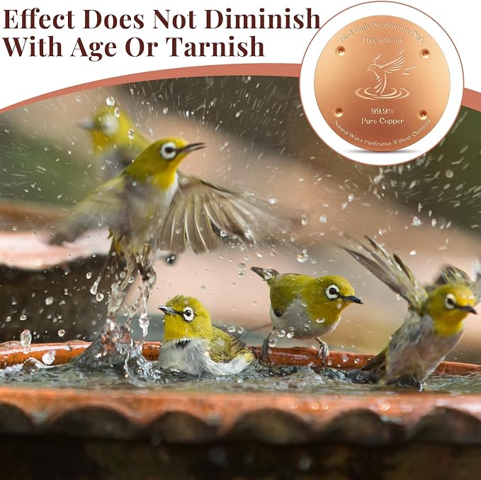 MorningRo Bird Bath Copper Disk, 0.8mm Thick 99.99% Pure Copper Birdbath Purification Disk, Solar Fountain for Bird Bath with 4 Point Support for Safe Birdbath Cleaner(2 Pcs)
