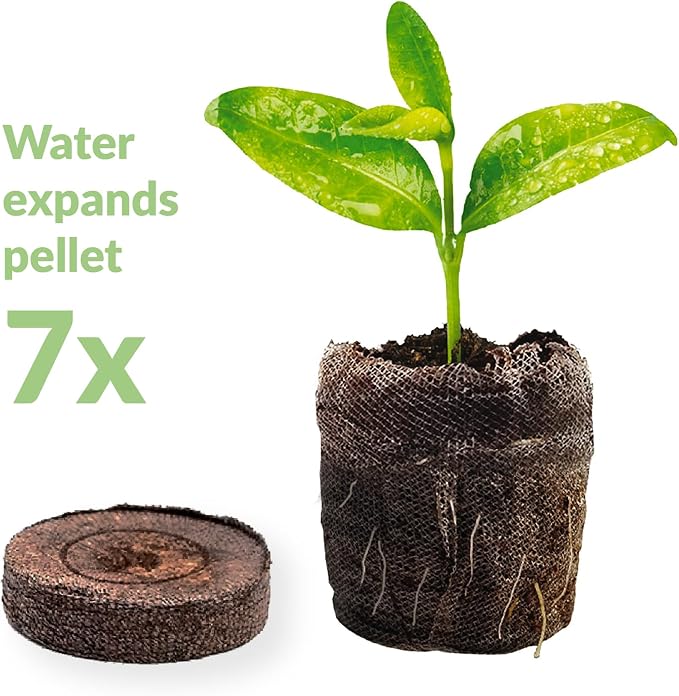 Jiffy Peat Soil Pellets Seed Starter Plugs - Indoor Seedling Planter - 1000 Count - Peat