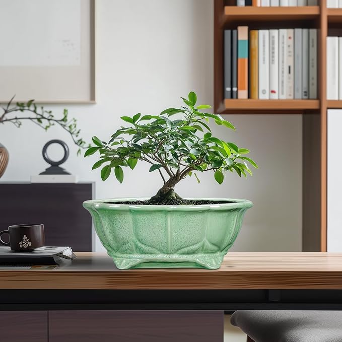 Bonsai Pots 11 Inch - Ceramic Succulent Pots with Drainage Hole, Oval Planter for Indoor Outdoor, Decorative Ceramic Flower Pot, Home Garden Room Decor, Plant Lover Gifts, Green