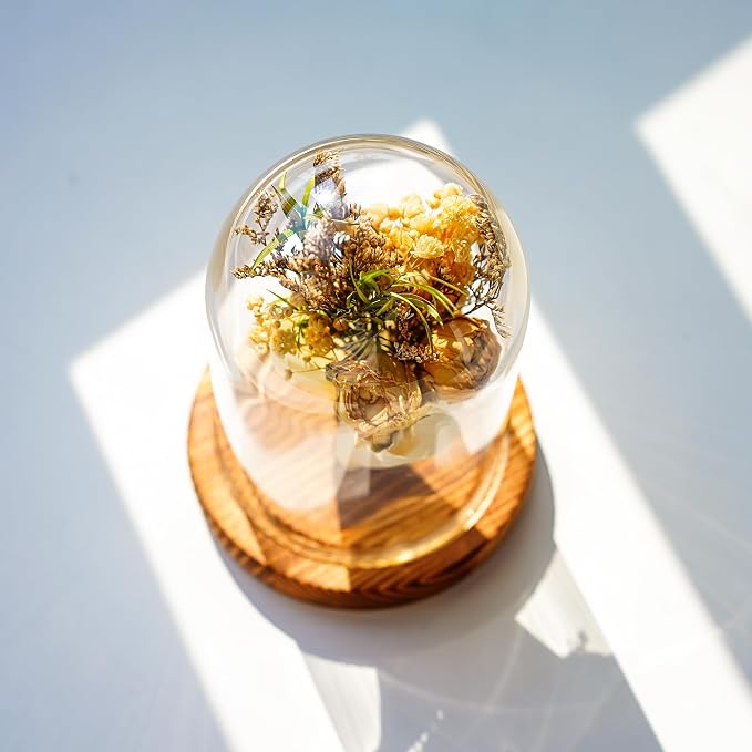 ZEERSHEE Small Cloche Glass Dome with Wooden Base, Glass Display Dome Bell Jar for Plants, Keepsakes, Collectibles and Home Decor, Mini Cloche for Fairy Lights & Preserved Flowers, 5.1" H x 3.9" W
