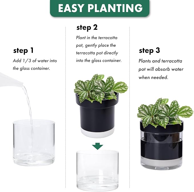 Phoenix Vine 6 Inch Self Watering Planter Pot, Black Terracotta Clay Pot with Glass Reservoir for Indoor Plants, Herbs, Flowers, Set of 2, 52-C-F-2