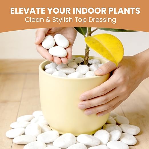 18lbs White River Pebbles for Landscaping, 2-3 Inch Polished River Rocks for Garden Décor, Decorative Rocks for Plants, Planters, Vase Fillers, Aquarium, Outdoor Walkways & Crafting