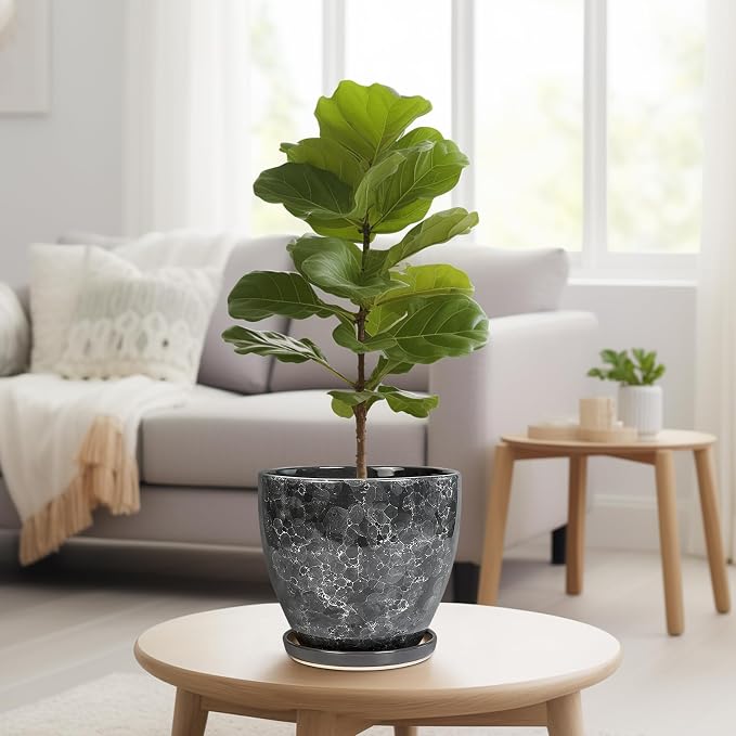 Ceraimc Planter - 8 Inch Plant Pot for Indoor Outdoor Plants, Decorative Round Planters, Flower Pot with Drainage and Saucer, Garden Porch House Room Decor, Plant Lover Gifts, Grey