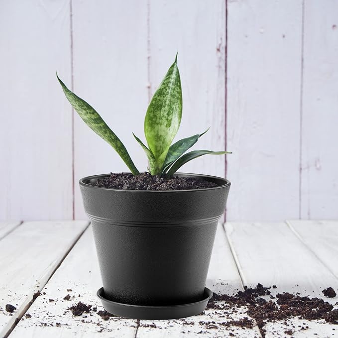 10 Pack Plastic Plant Pots with Drainage Holes and Tray, 5 inch Thickened Indoor Planters Seedlings Nursery Pots for Flowers, African Violet, Succulent and All House Plants, Black