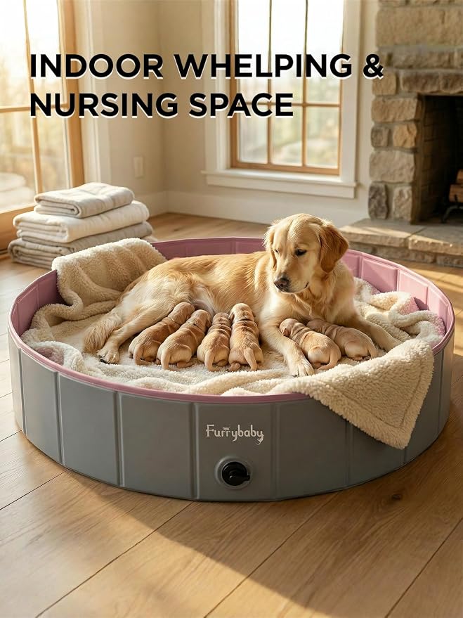 Furrybaby Foldable Dog Pool, Kiddie Pool Hard Plastic, Collapsible Pet Bath Portable Dog Swimming Pool for Pet, Dogs and Cats Grey 32'' | Collapsible rigid dog pool with non-slip PVC, durable hard plastic tub, portable indoor & outdoor use for pets and...