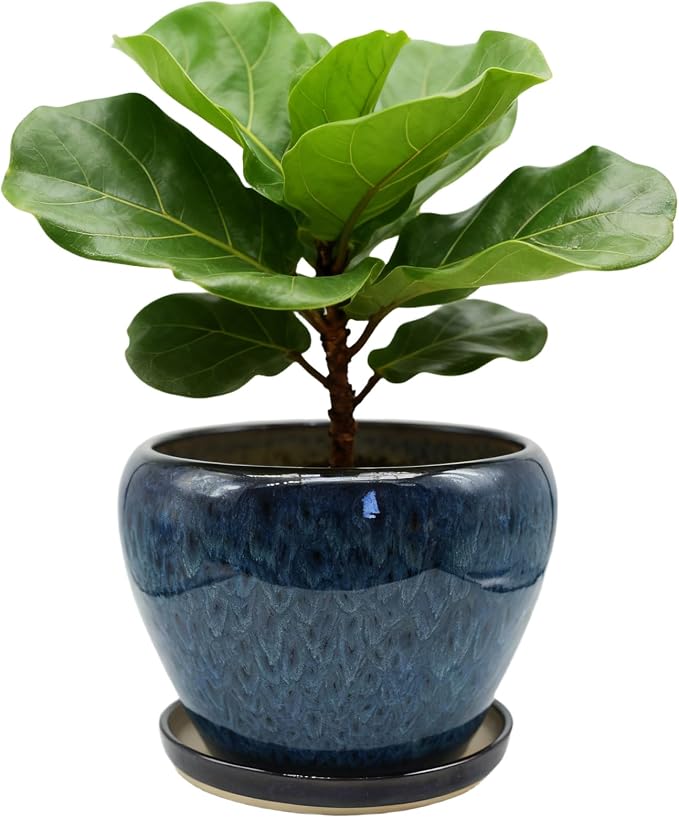 MAGP 10 Inch Large Plant Pots with Drainage Hole and Saucer, Large Ceramic Decorative Flower Pot for Plants Indoor Outdoor Planter, Round Blue