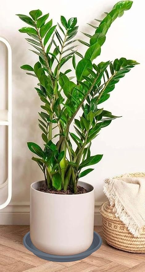 2 Pack of 22 inch Plant Saucer, Large Plant Tray, Heavy Sturdy Plant Drainage Tray for Indoors, Bird Bath Bowls, Sturdy 18 inch Plastic Pot Tray for Planter 19 20 21"(Gray)