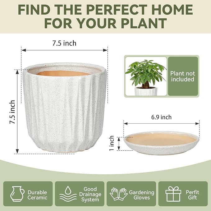 7.5 Inch Ceramic Planter Pot with Saucer Drainage Leak-Proof Mesh,Flower Pots for Indoor Plants with Gardening Gloves,Ceramic Planter(Waxen White)