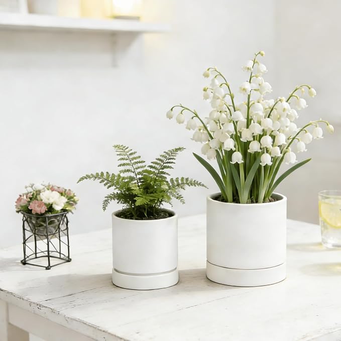 GreenShip 2pcs Plant pots, self Watering pots for Indoor Plants (White, 4.7in+6in)