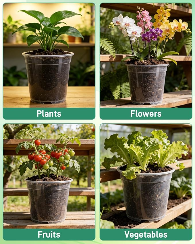 6 Pack Clear Nursery Pots with Drainage 9.5/8/7.5/6.7/5/4.5 Inch Nursery Pots with Saucers Transparent Seedling Pots Including Plant Labels Seed Starting for Indoor Outdoor Home Gardening