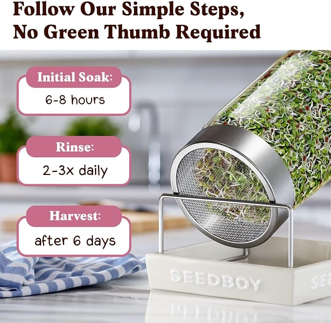 Seedboy Organic Non-GMO Radish Seeds for Sprouting - USA Grown Microgreens Sprouting Seeds - 8 oz Bag Makes 8 Quarts / 32 Servings (Daikon Radish)