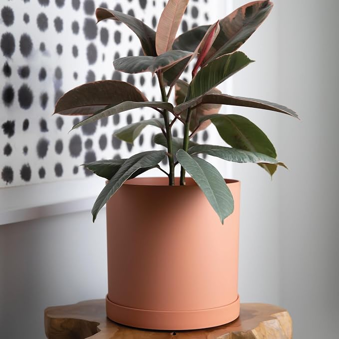 Bloem Mathers Planter w/Saucer Tray 10" Muted Terra Cotta