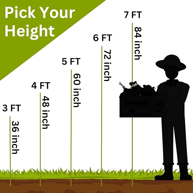 4 Ft Fiberglass Eco Friendly Garden Stakes 100 Pack (Height/Quantity Options) – Durable, Lightweight, Tomato, Tree, Strawberry, Plant, Support Fencing Stakes with Patterned Surface, Green (100, 4 Ft)