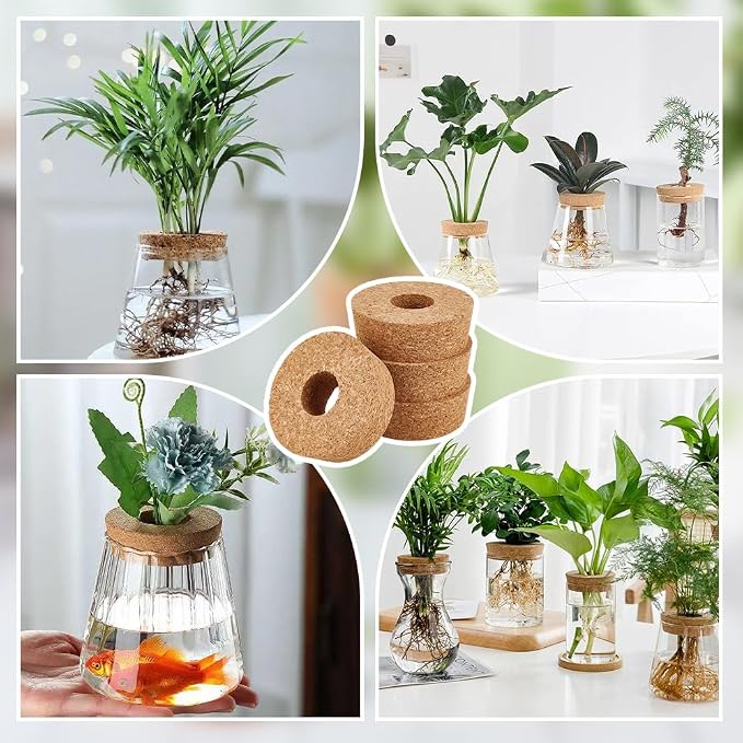 OLYCRAFT 4 Pack Cork Lids for Glass Planters 3.1~3.4 Inch Hydroponic Lids 1.2 Inch Thick Terrarium Cork Covers with 1.2 Inch Hole Natural Cork Stoppers for Hydroponic Plant Propagation Growing Vases
