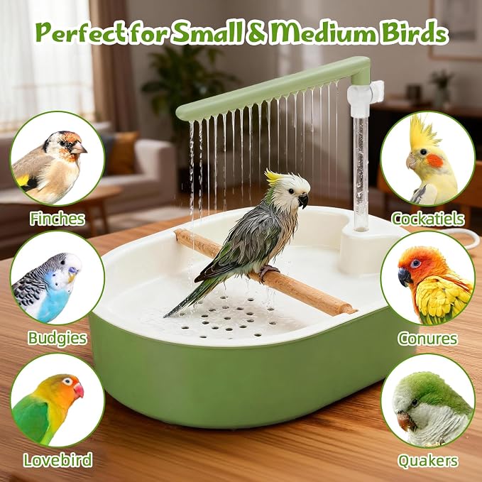 Automatic Parakeet Bird Bath Shower, Quiet Circulating Parrot Bathtub | Adjustable water flow & quiet pump. Fits Cockatiels, Budgies, Conures, Lovebirds, Quakers, Parrotlets & small medium birds