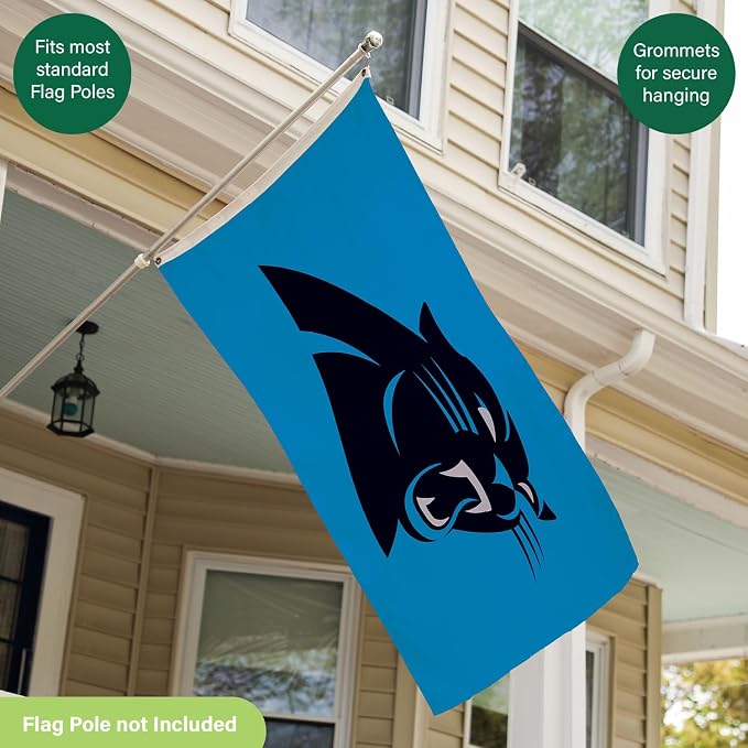 NFL Carolina Panthers 3 x 5 Outdoor Durable House Flag with Grommets | Sport Team Flag & Banner | Indoor Wall Decor Flag for Room | Works with Flag Poles for Outside House