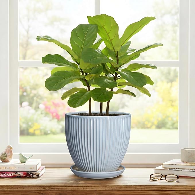 8 Inch Plant Pot Indoor, Ceramic Flower Pots with Drainage Hole and Saucer, Round Plant Pot for Indoor House Plants, Modern Plant Pot Indoor, Office Home Decor, House Warming Gifts, Light Blue