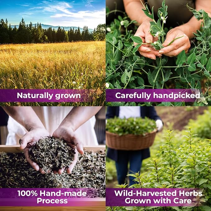 100 Bags Thyme Tea Thyme Leaves Tyme Herb Tea (Thymi Serpiylli Herba) - 100 Count 1.5 g Bags Thymus Serpyllum Herb Tomillo En Hierba