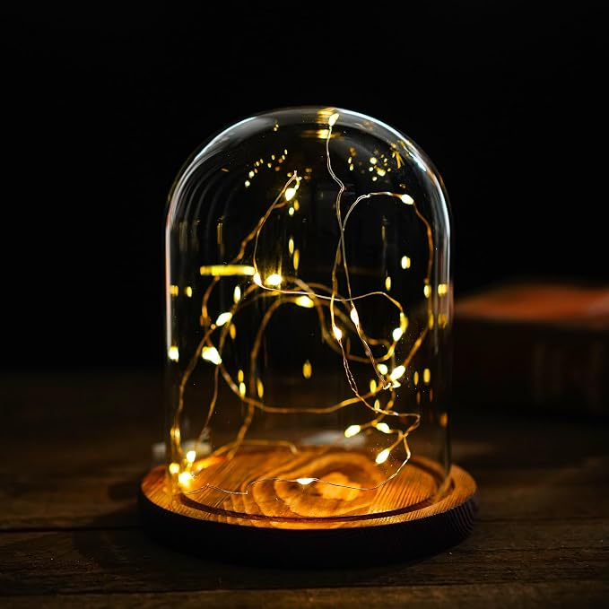 ZEERSHEE Glass Cloche Display Dome Decorative Glass Display Bell Jar with Wooden Base for Home Party Wedding Decor