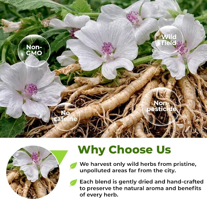 4 oz. Dried Marshmallow Root Tea Marshmallow Root Herb Herbal Tea (Althaea Officinalis) - 113g Herb Raíz De Malvavisco