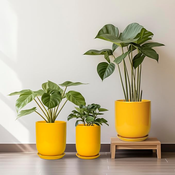 Plant Pot 8 Inch - Ceramic Plant Pot with Drainage Hole and Saucer Large Planter for Indoor Plants Outdoor Modern Flower Pot for Home Garden Decor Yellow