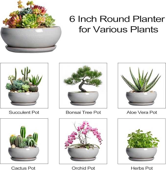 SQOWL Succulent Planters 6 Inch - Ceramic Bonsai Pots with Drainage Hole and Saucer, Shallow Planter for Indoor Plants Outdoor, Round Ceramic Pots for Plants Cactus, Room Decor, Garden Gifts, Gray